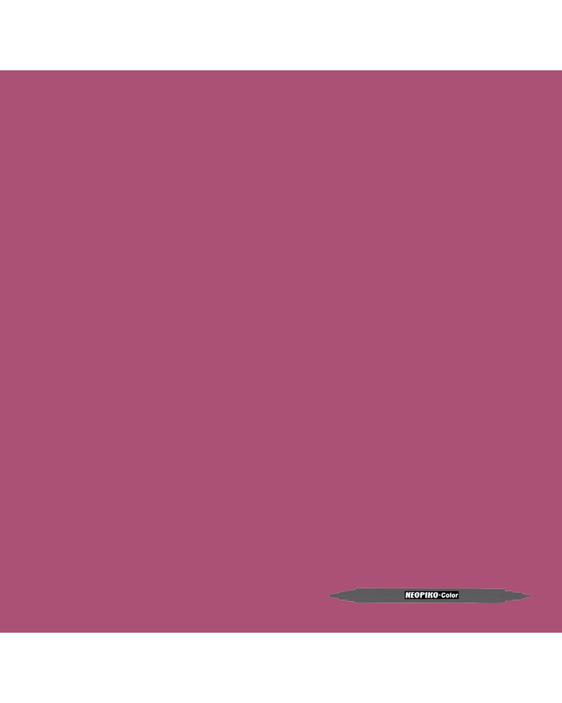 Old raspberry 331