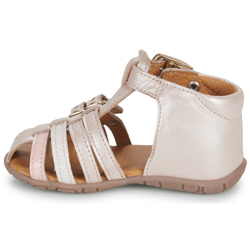 GBB - RIVIERA - Rose