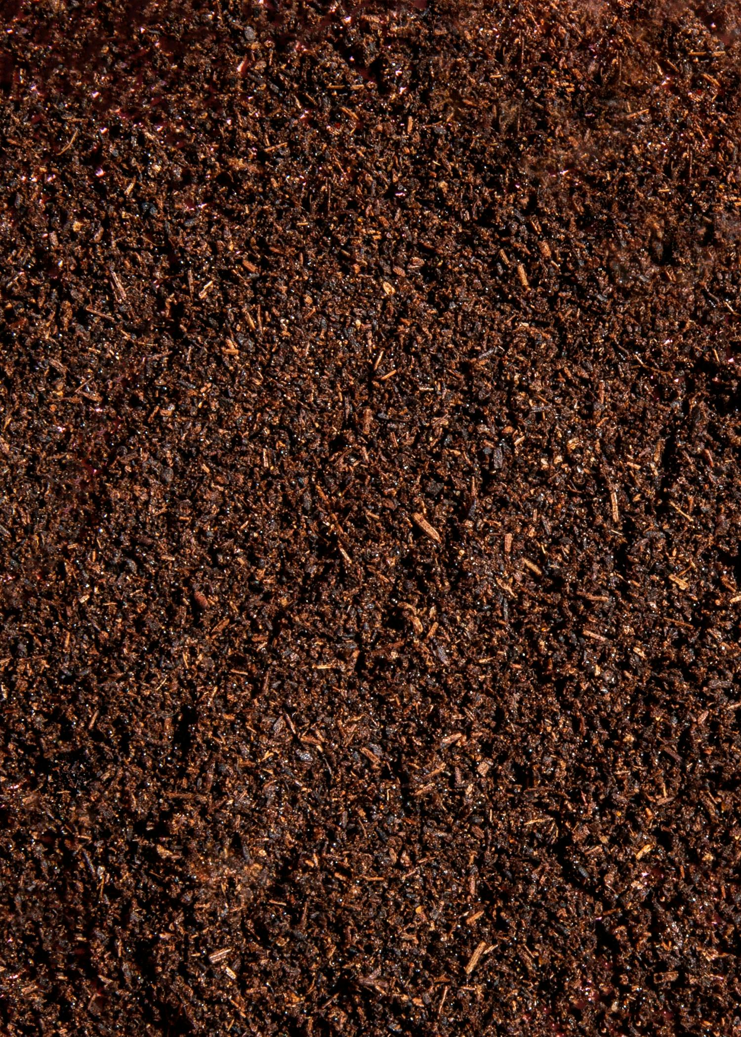 Bourbon Vanillepulver 25 g