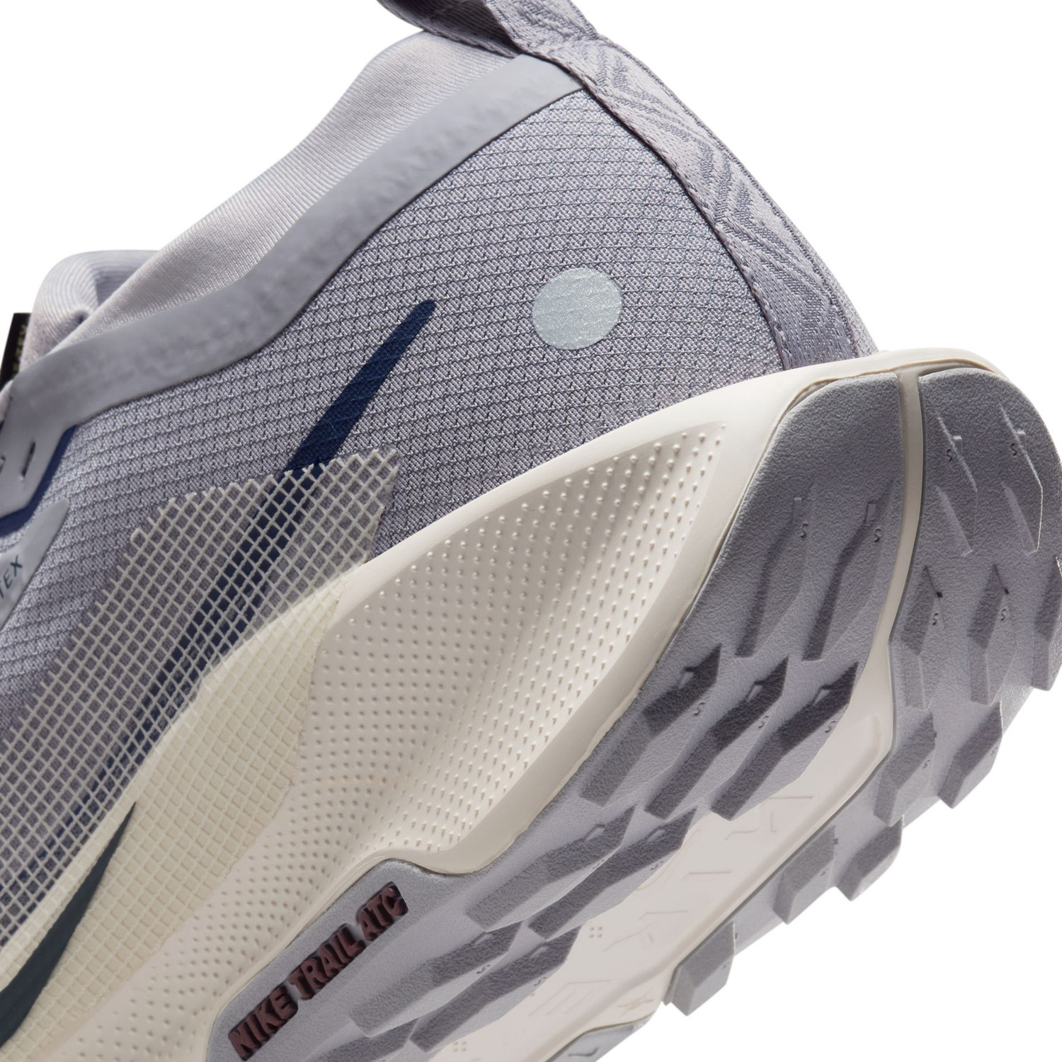 Nike Pegasus Trail 5 GTX Heren