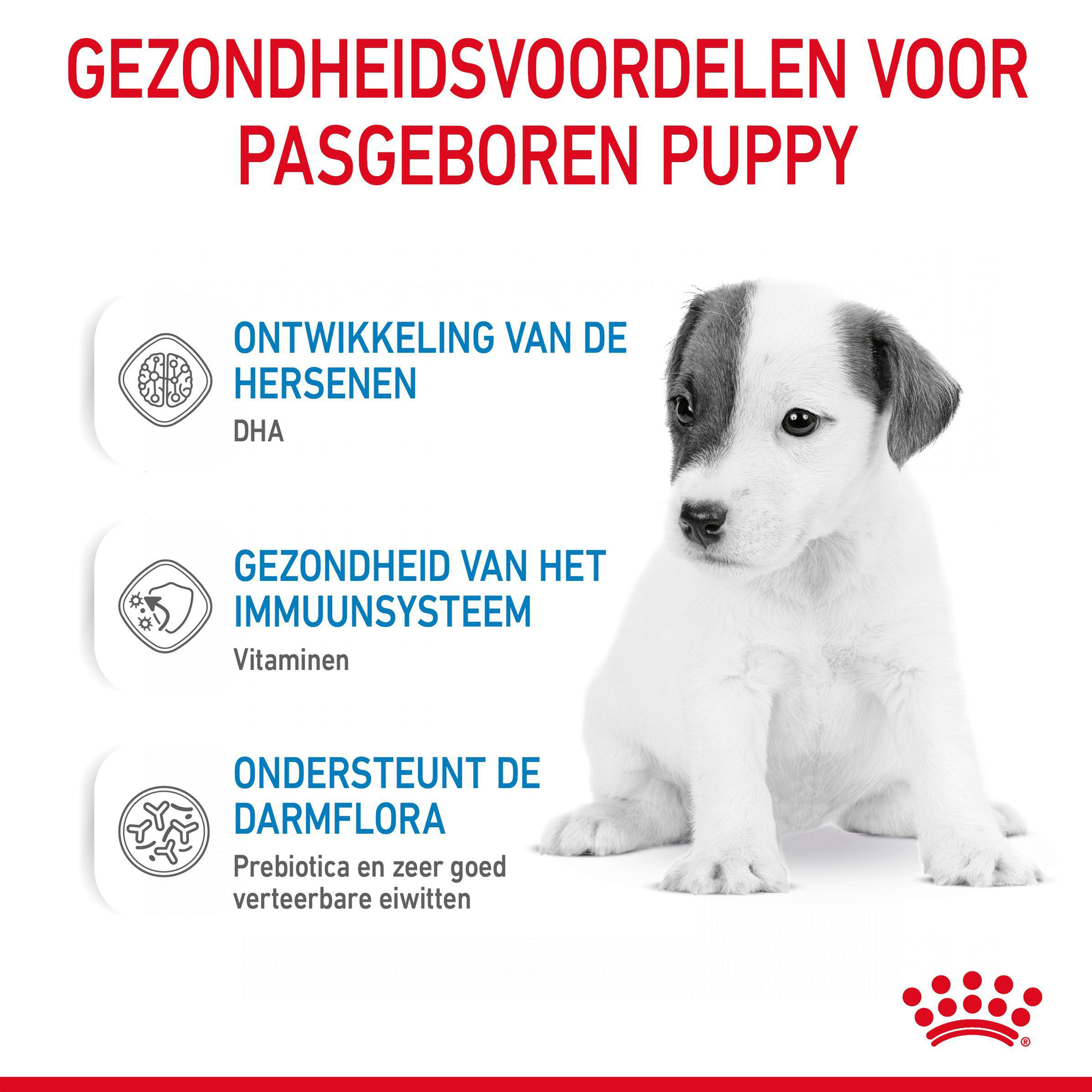 Royal Canin Babydog Milk puppymelk