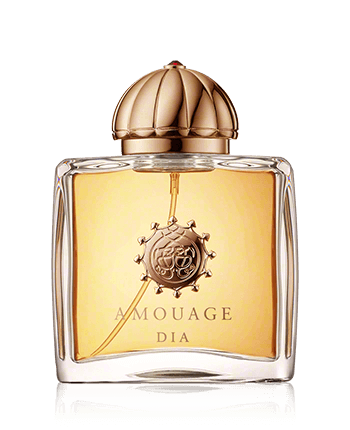 Amouage Dia Woman Classic Eau de Parfum Spray 100ml