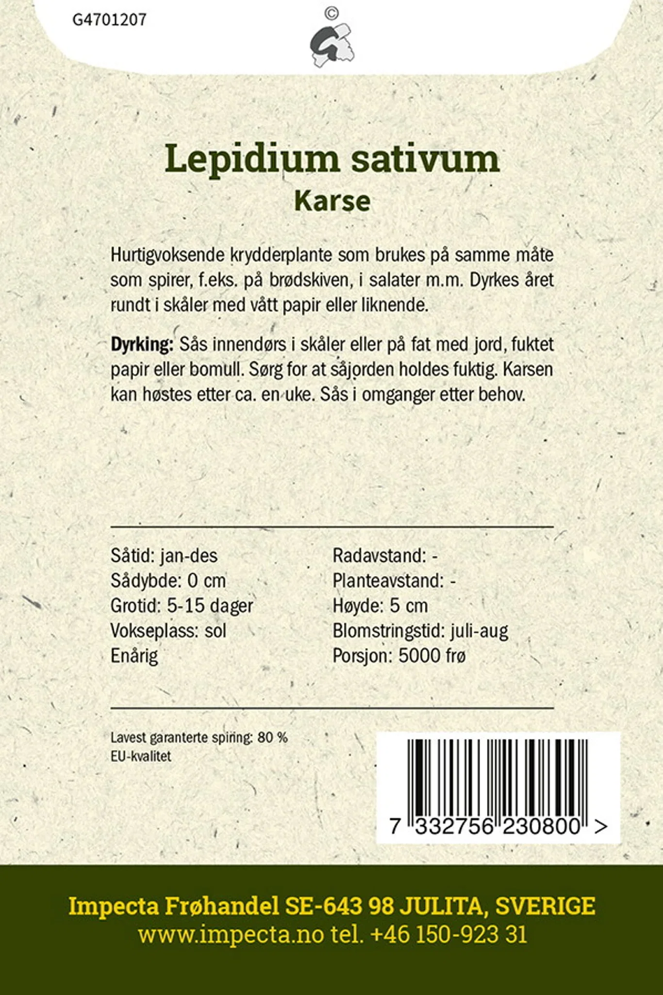 Lepidium sativum Karse