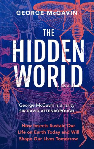 The Hidden World: How Insects Sustain Life on Earth Today and Will Shape Our Lives Tomorrow (Hardback)