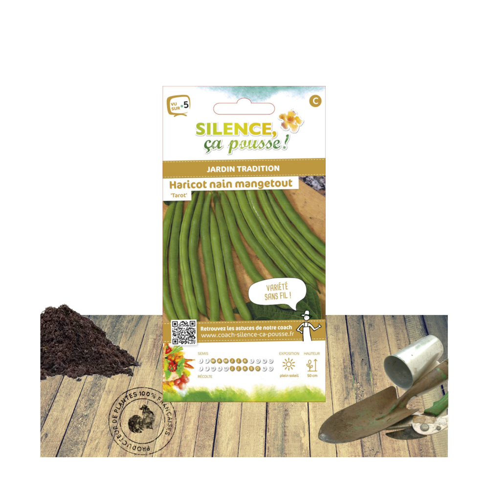 Graines de haricot nain mangetout tarot/phaseolus vulgaris nain mangetout tarot[-]sachet de 80 gr.