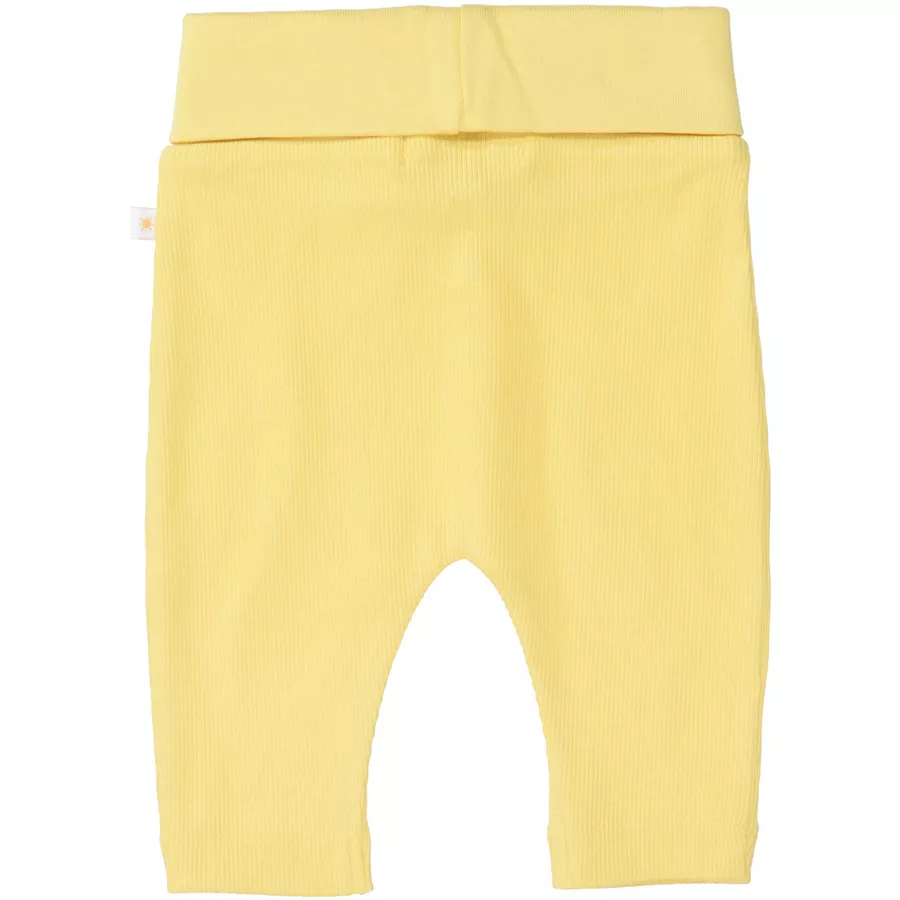 Staccato Leggings sun