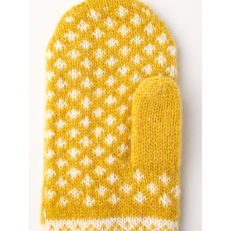 Hestra Isvik Handschuhe