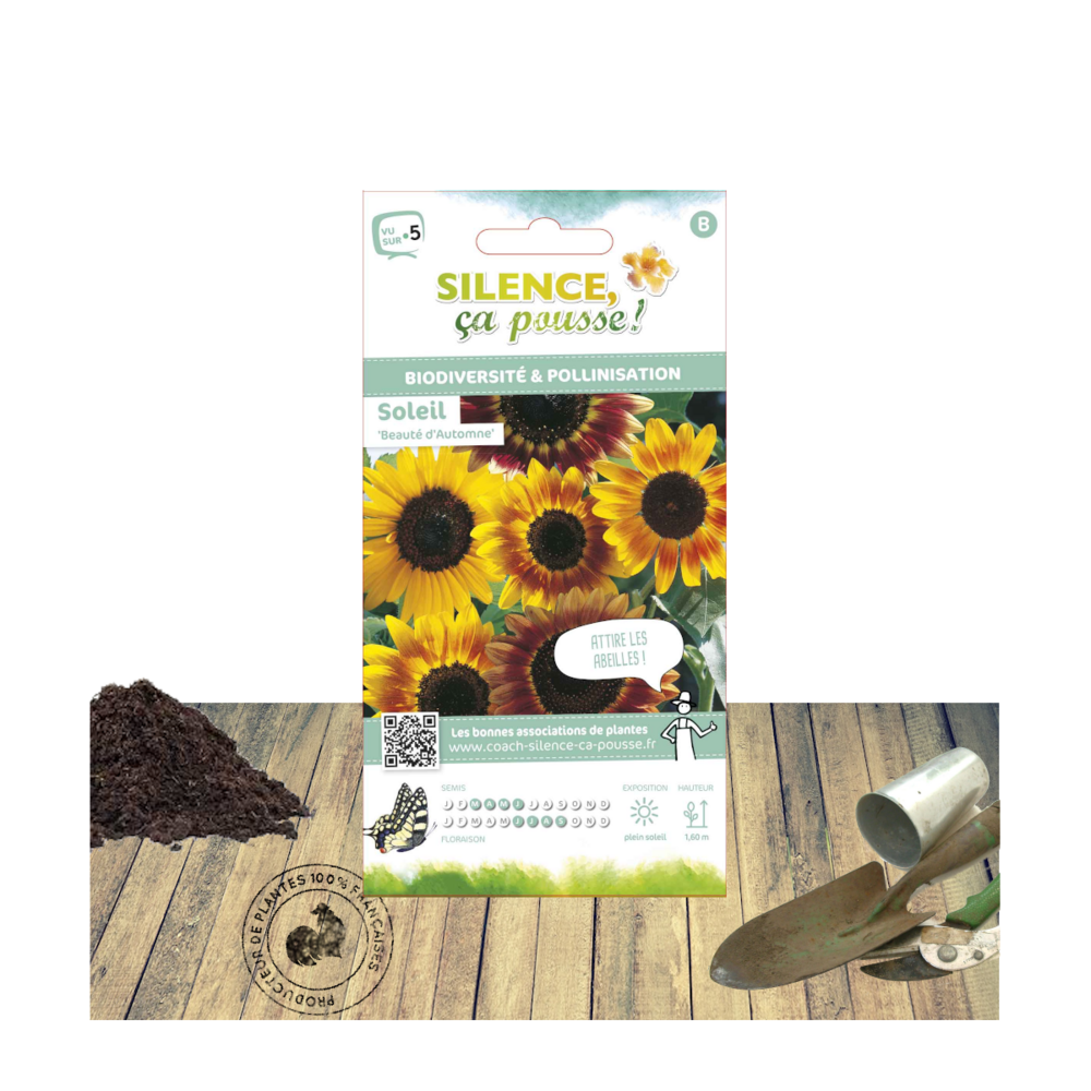 Graines de soleil beauté d'automne/helianthus annuus beauté d'automne[-]sachet de 3 gr.