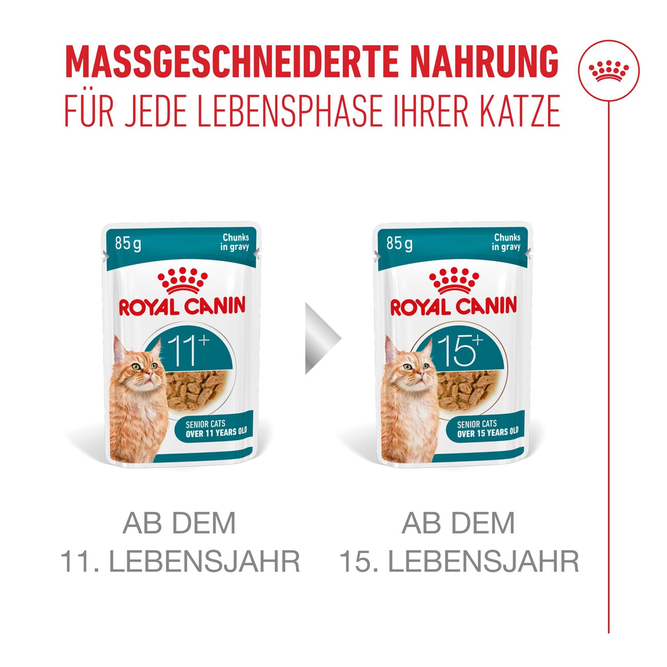 ROYAL CANIN Nassfutter Katze, Senior Ageing 11+, Sauce 12x85 g
