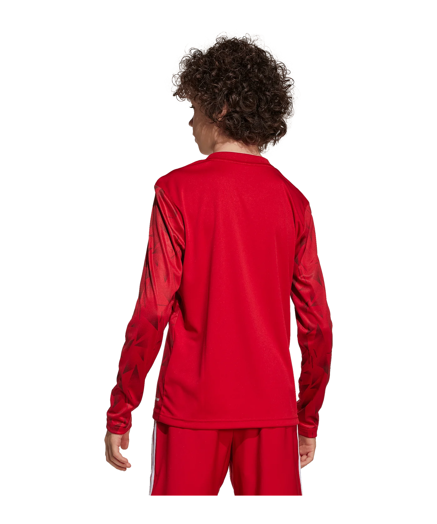 adidas Team Icon 25 Trikot langarm Kids Rot