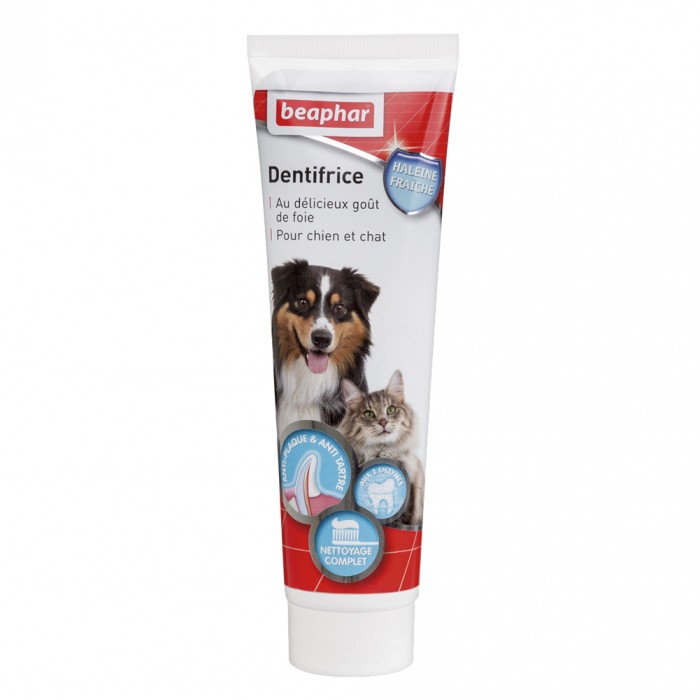 Dentifrice haleine fraîche