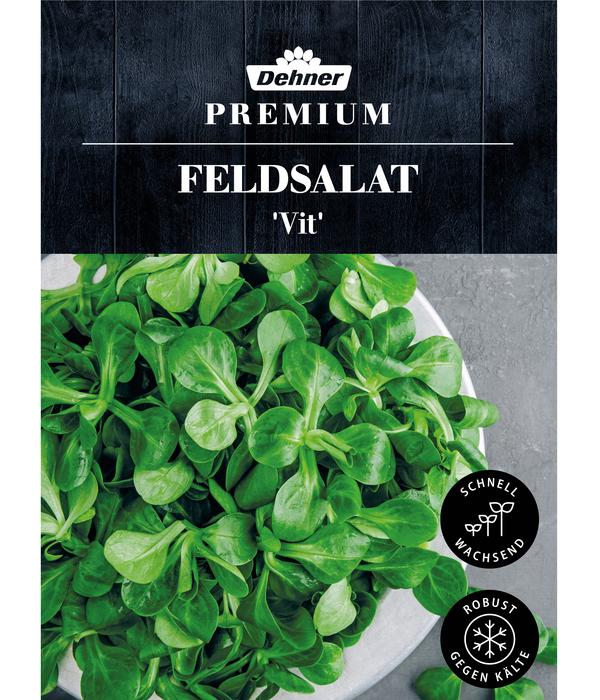 Dehner Premium Samen Feldsalat 'Vit'