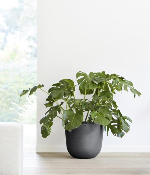 Ecopots Kunststoff-Topf Oslo, rund