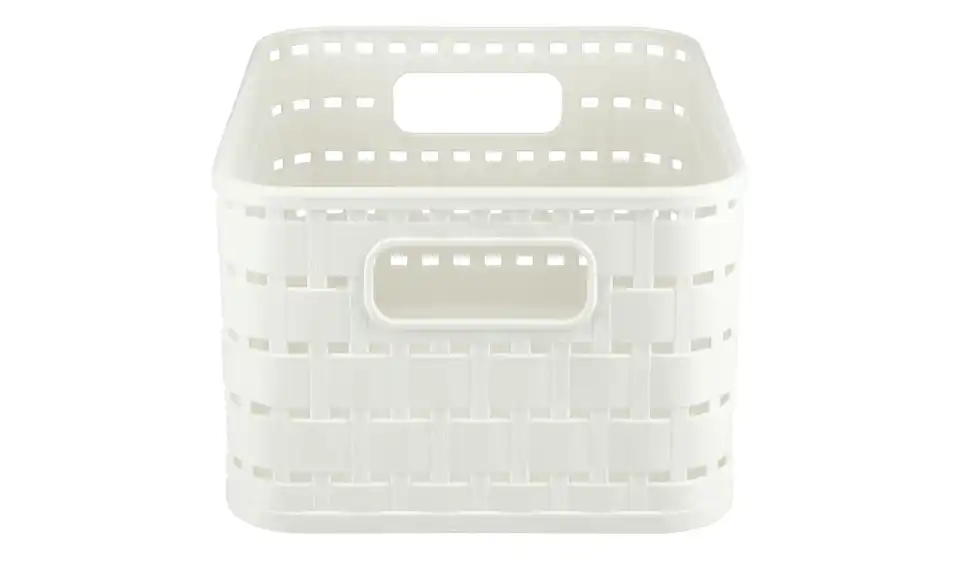 Rotho Aufbewahrungsbox 13,7 cm
