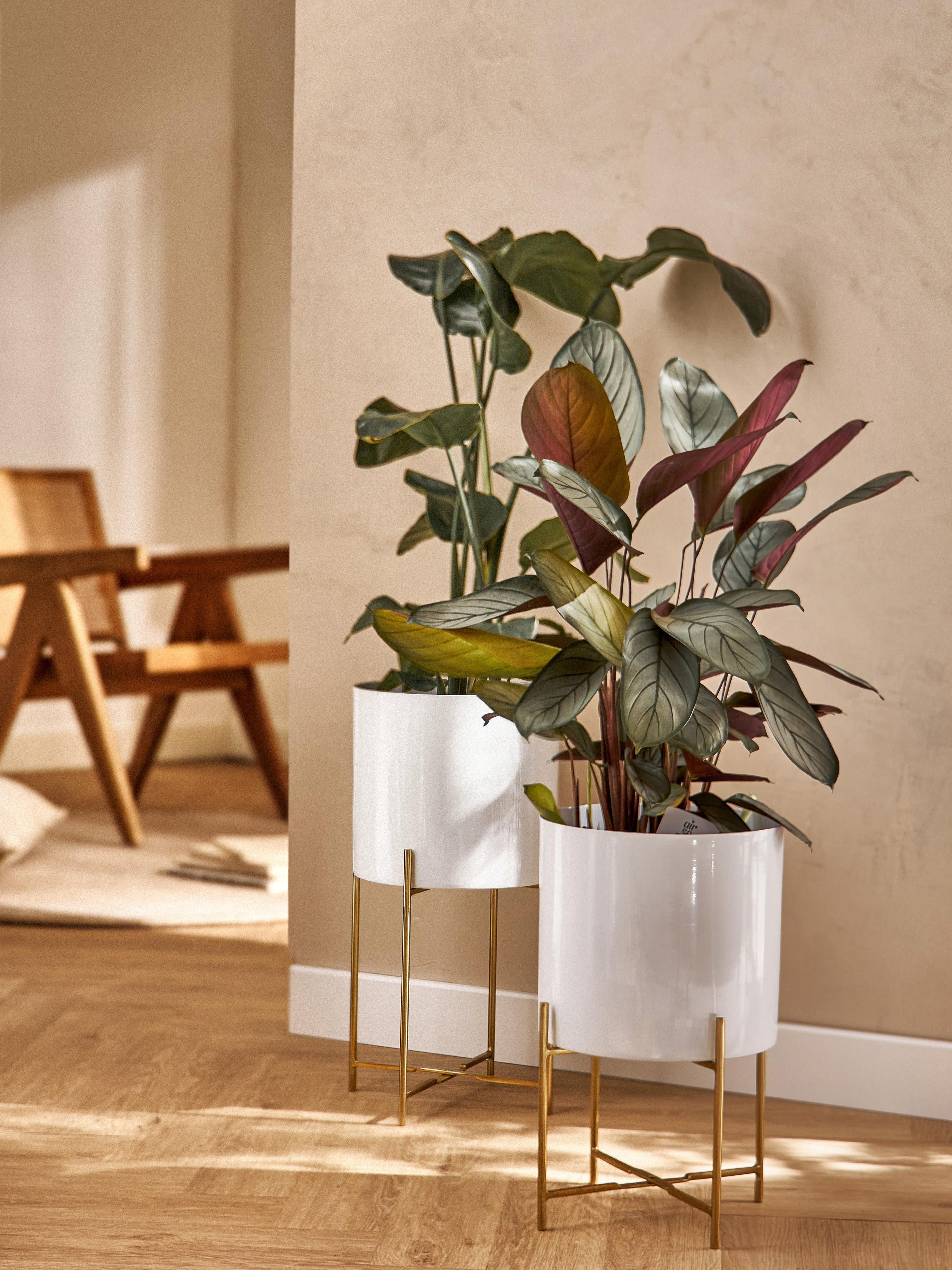 Plantenpotten Mina van metaal, set van 2