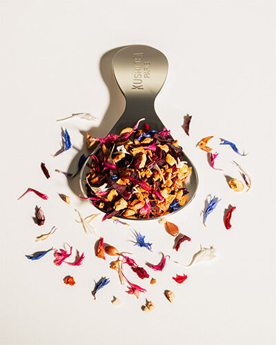 L'infusion de l'Elysée-Infusion bio aux notes fruitées Boîte 90 g