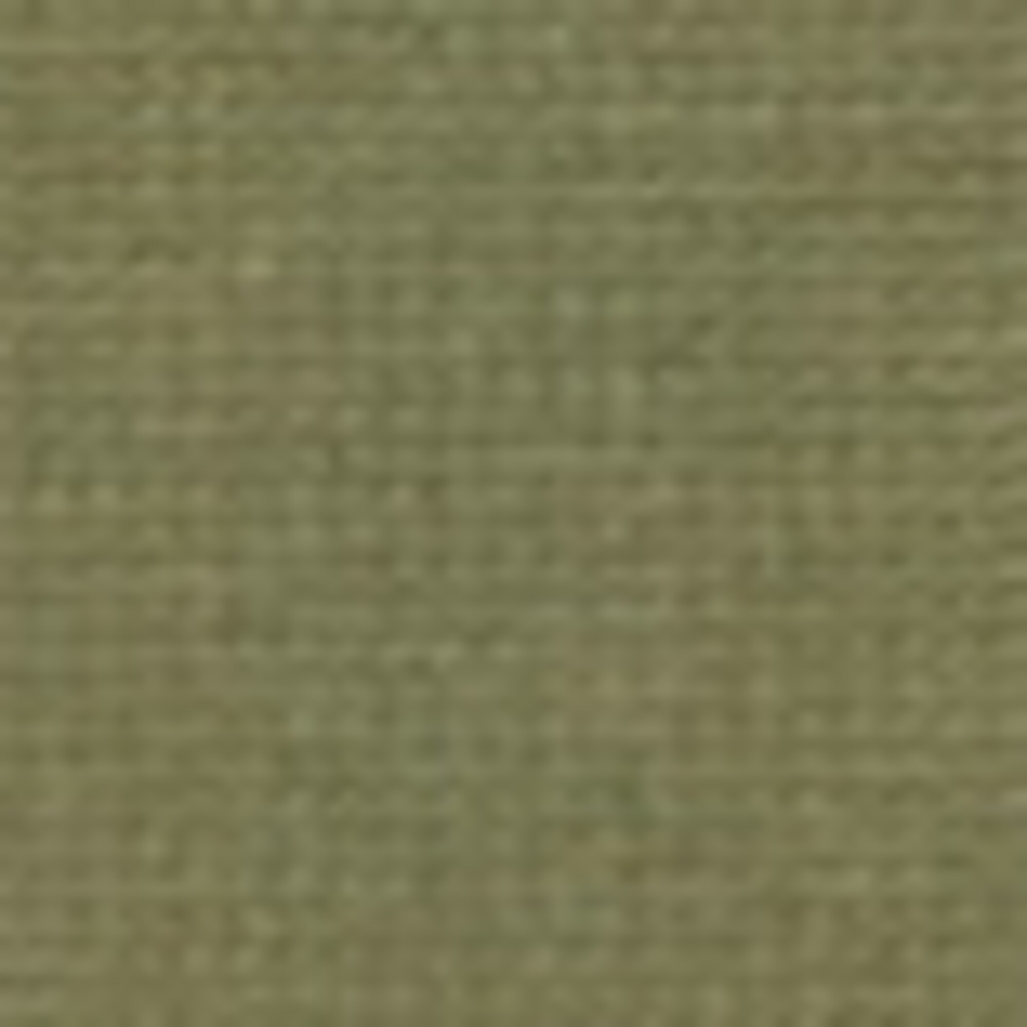 Pullover regular aus reiner Bio-Baumwolle