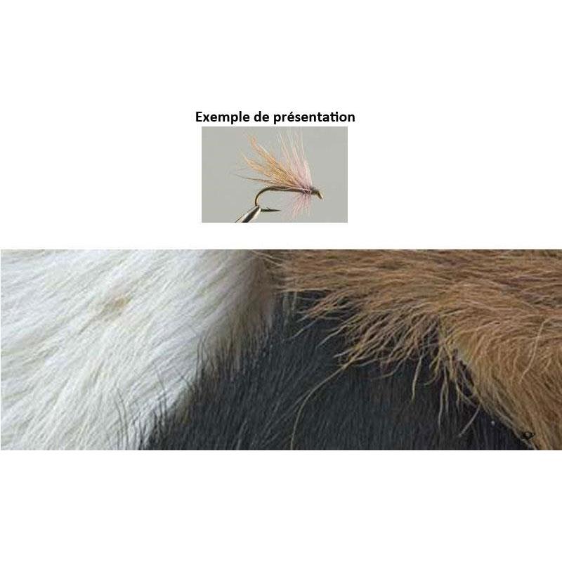 Chevreau Tof
