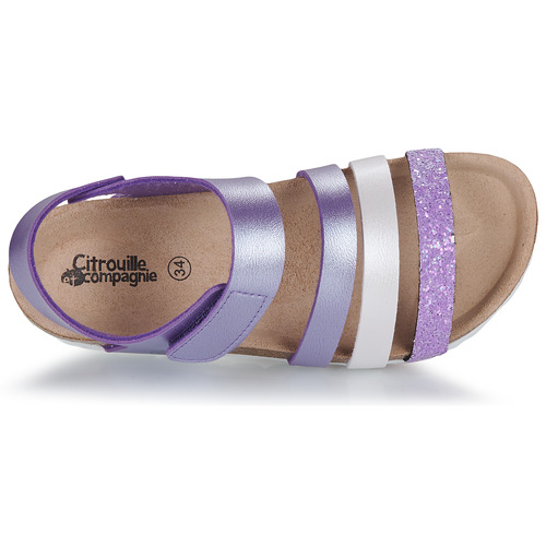 Citrouille et Compagnie - ZELLIE - Violet