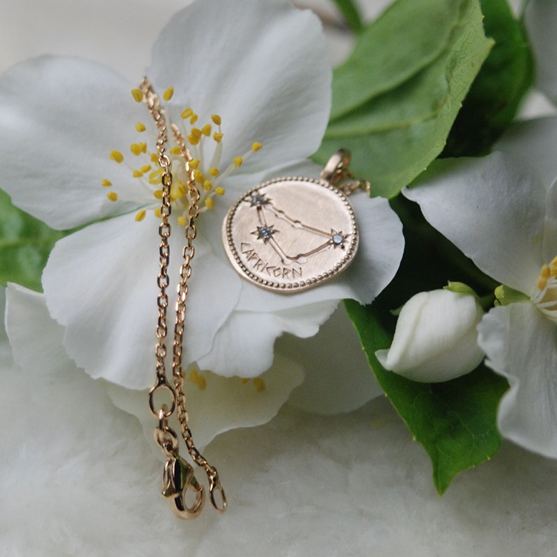 Pendentif signe du zodiaque CAPRICORNE - Bijoux Privés Discovery