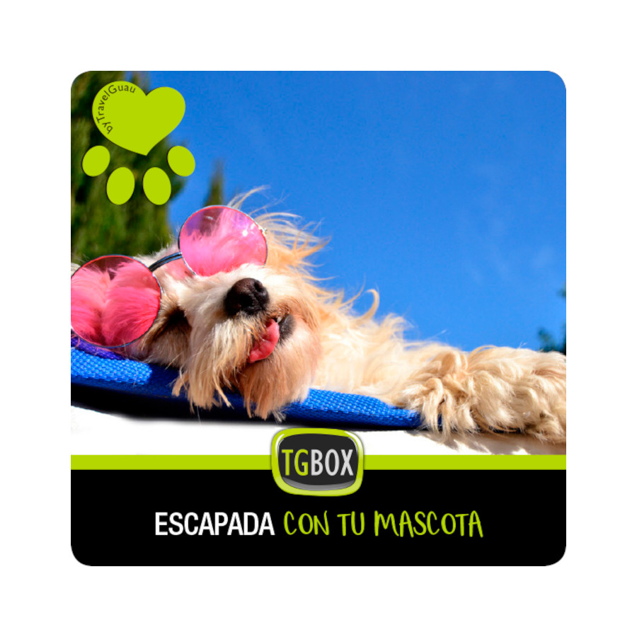 TGBOX Fuja com seu animal de estimação