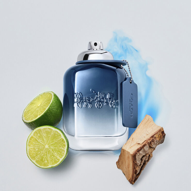 Coach COACH Blue Eau de toilette