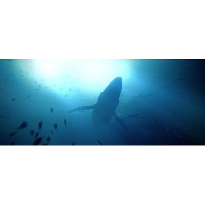 Under The Waves- PlayStation 5
