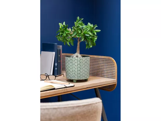 Cache-Pot Déco en Céramique 