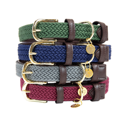 Kentucky Dogwear Nylon Hondenhalsband