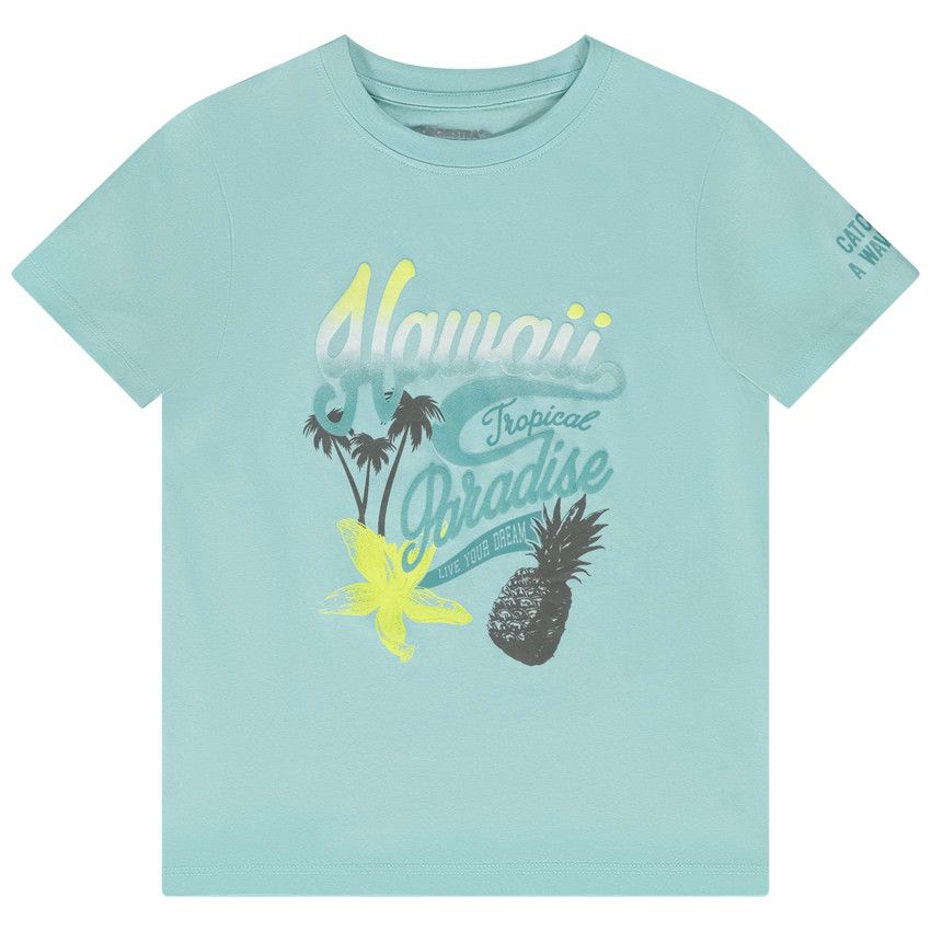 T-shirt manches courtes en jersey print Hawaii pour garçon - Bleu