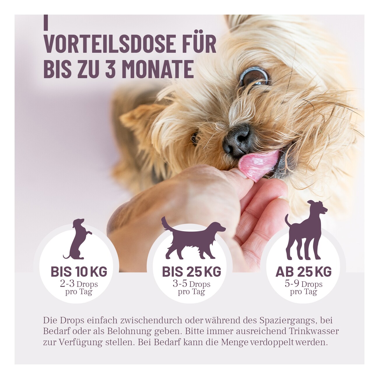REAVET Feste Häufchen Drops für Hunde 350g