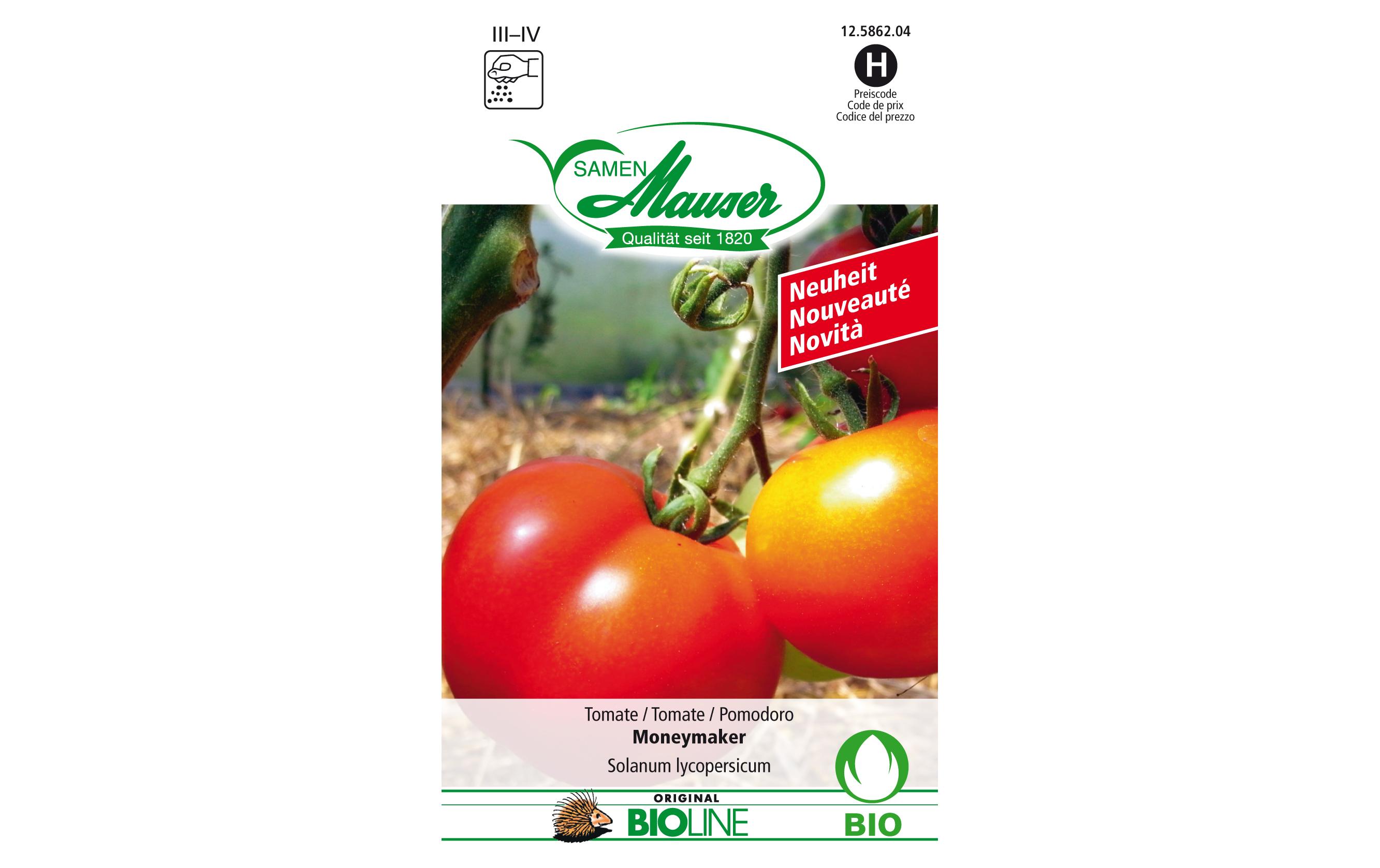 Samen Tomate MoneymakerBio Gemüsesamen