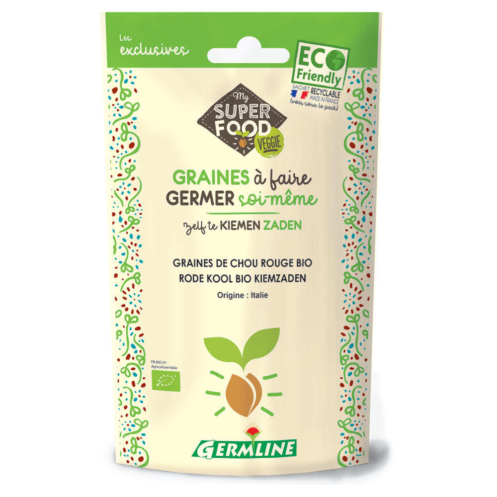 Chou rouge bio - Graines à germer
