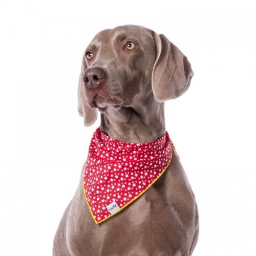 Bandana vermelha com estampa de estrela para cachorro