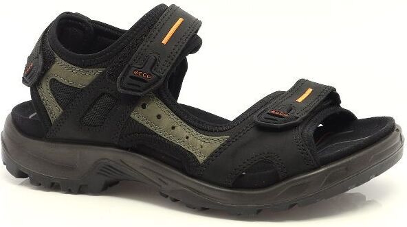 81451 ECCO