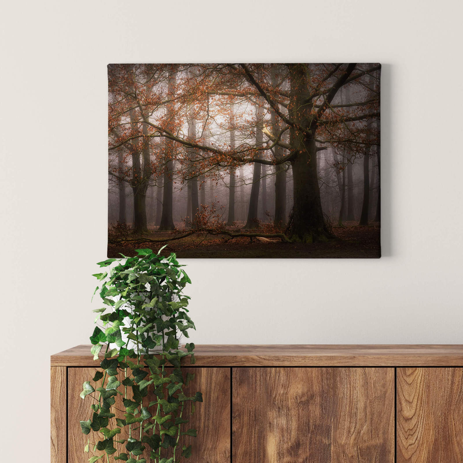 Leinwandbild DUNKLER WALD - braun - 70x50 cm