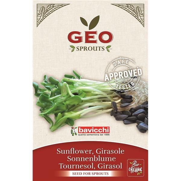 Girassol - Sementes Para Germinar Bio