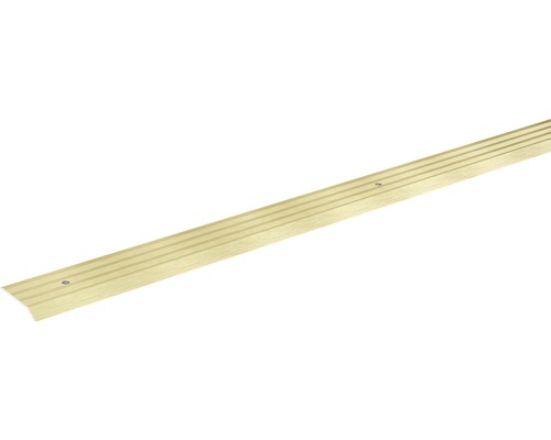 SKANDOR aanpassingsprofiel champagne geanodiseerd geperforeerd 5x29x900 mm