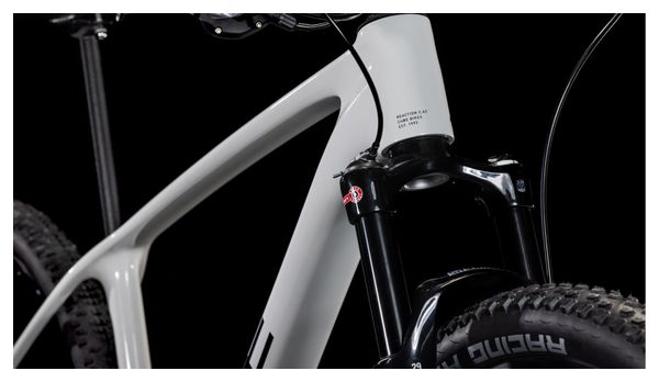 VTT Semi-Rigide Cube Reaction C:62 One Sram NX/SX Eagle 12V 29'' Blanc Cotton Gris 2025