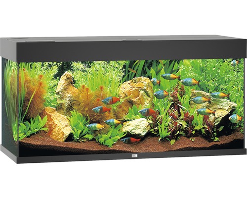 JUWEL Rio 180 aquarium met LED-verlichting, pomp, filter, verwarming (zonder kast), zwart