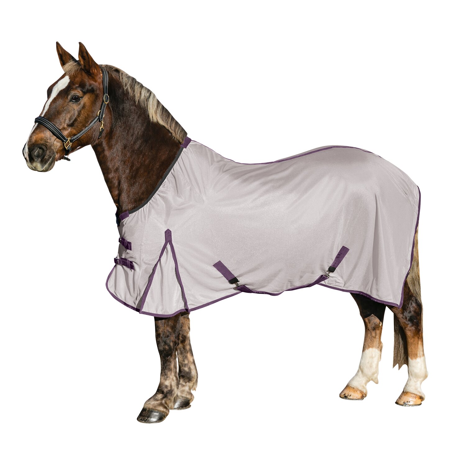 Horse-friends Fliegendecke XL  - cool/purple