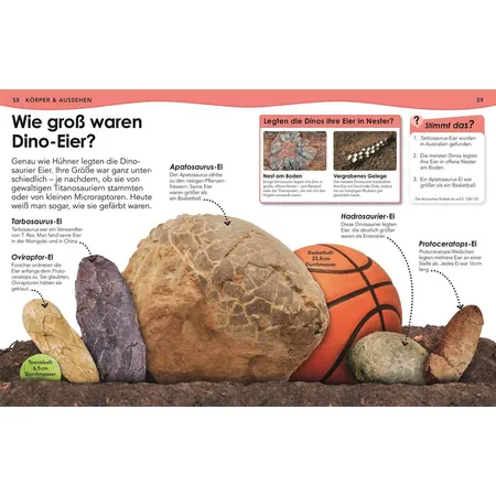 DK Verlag Buch Weshalb? Deshalb! Dinos Das Frage-und-Antwort-Lexikon