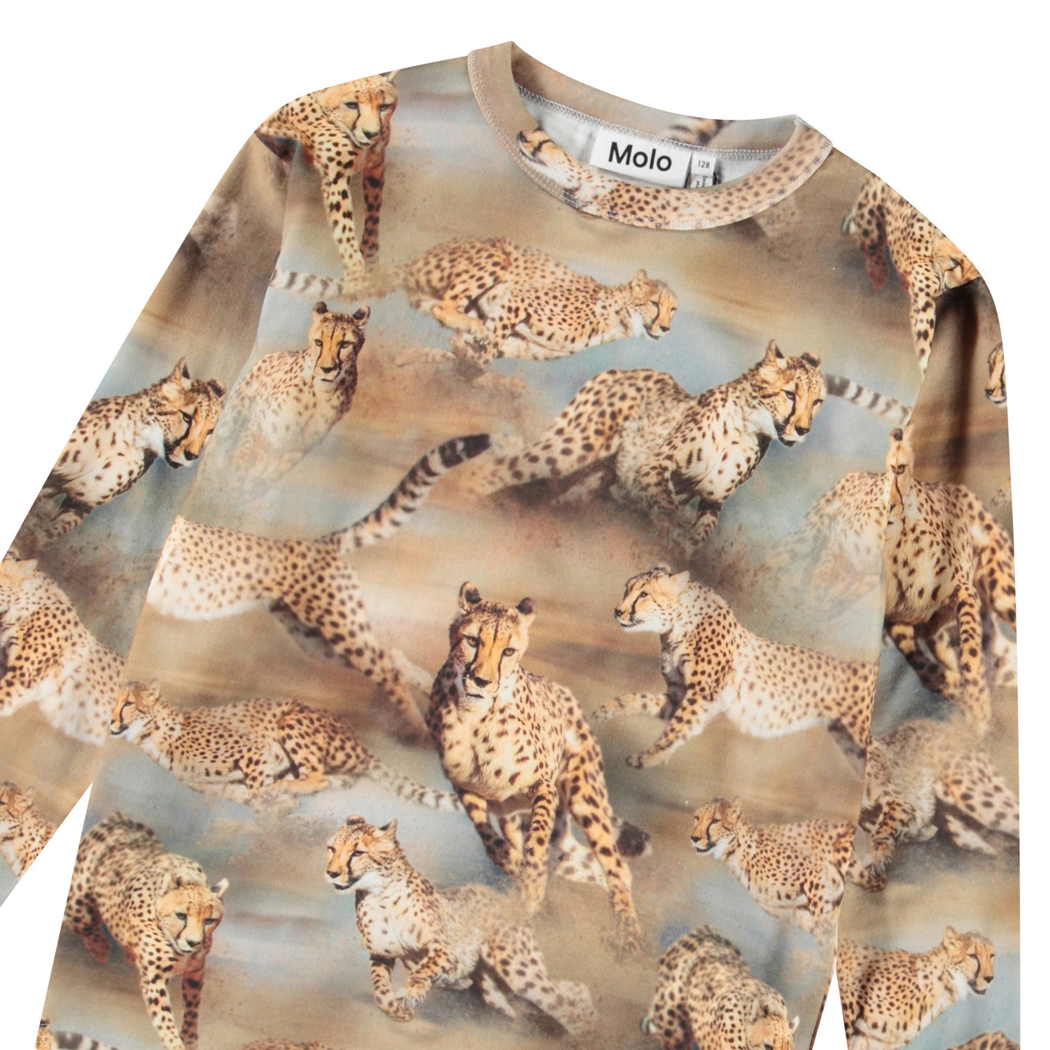 Rill - Fast Cheetahs