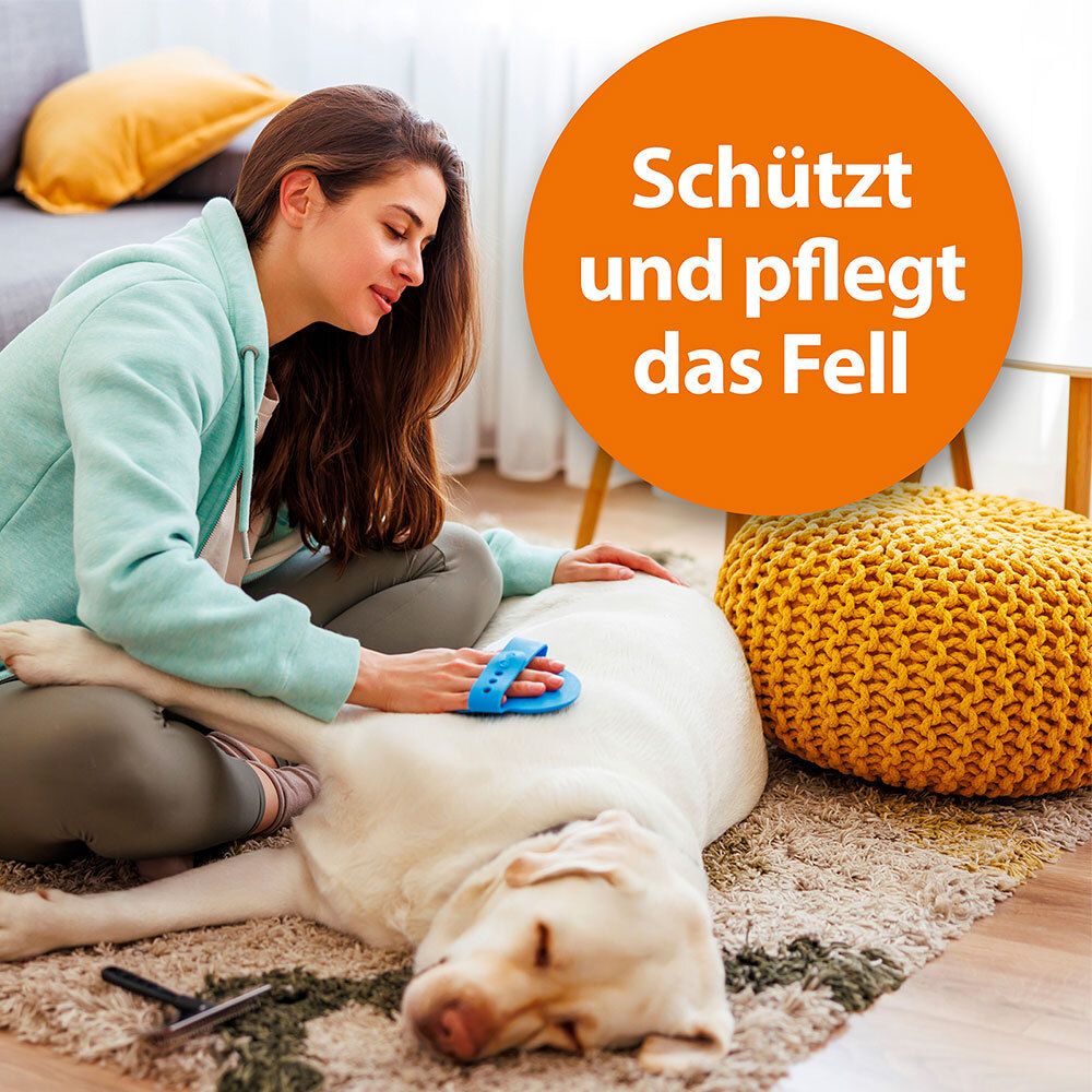 ARDAP® Anti-Floh Shampoo für Hunde