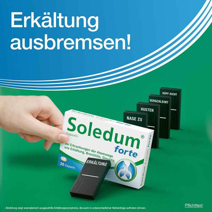 Soledum Kapseln forte, 100 St