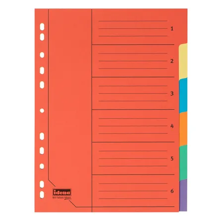 Idena 300246 Karton Register A4 6-tlg.,6 Farben, 170g/m²