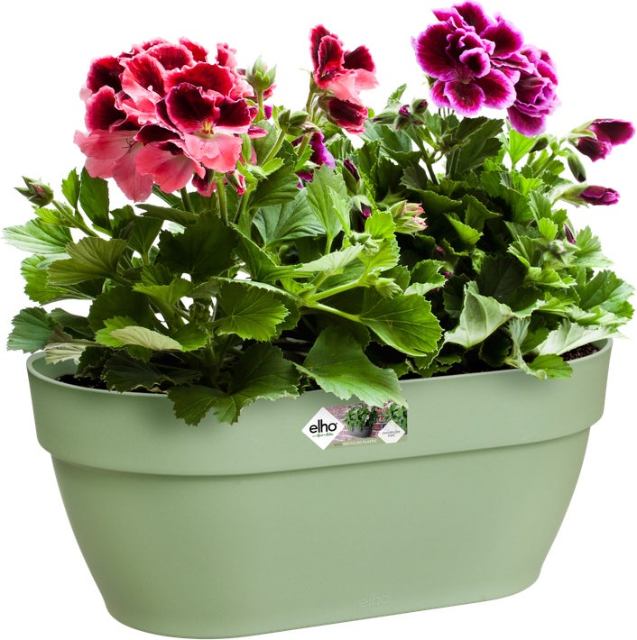 Elho muur plantenbak Vibia Campana groen 35 x 16,2 x 14,8 cm