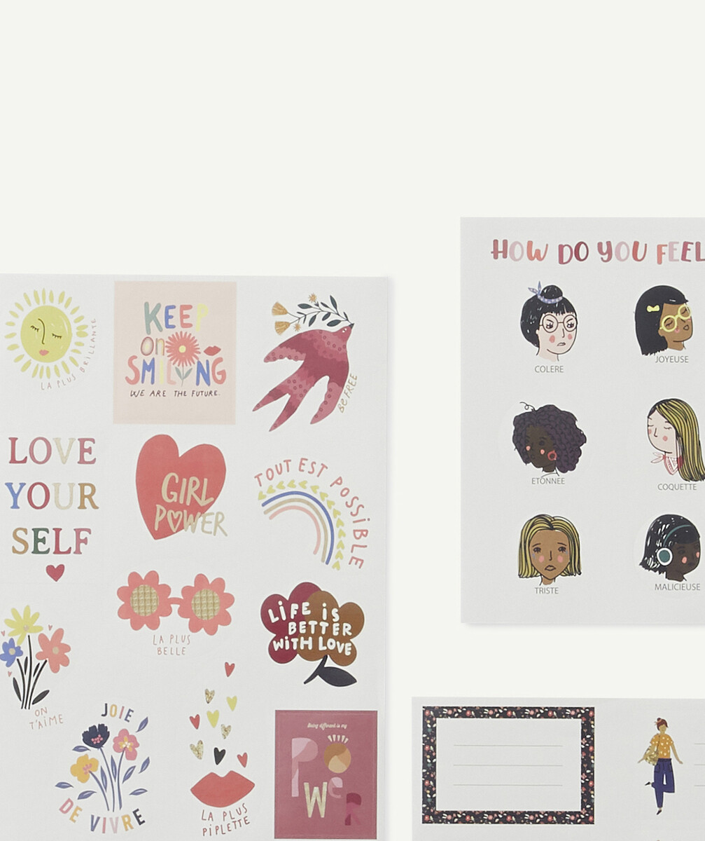 LE LOT DE STICKERS ET D'ÉTIQUETTES AUX NUANCES ROSES