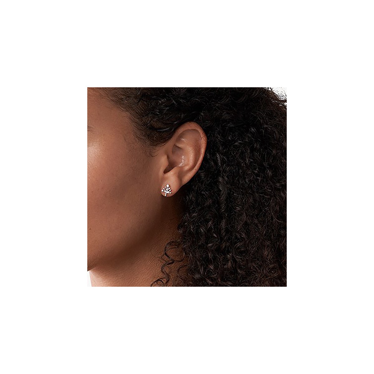 Boucles d'oreilles Fossil en argent arbre de vie