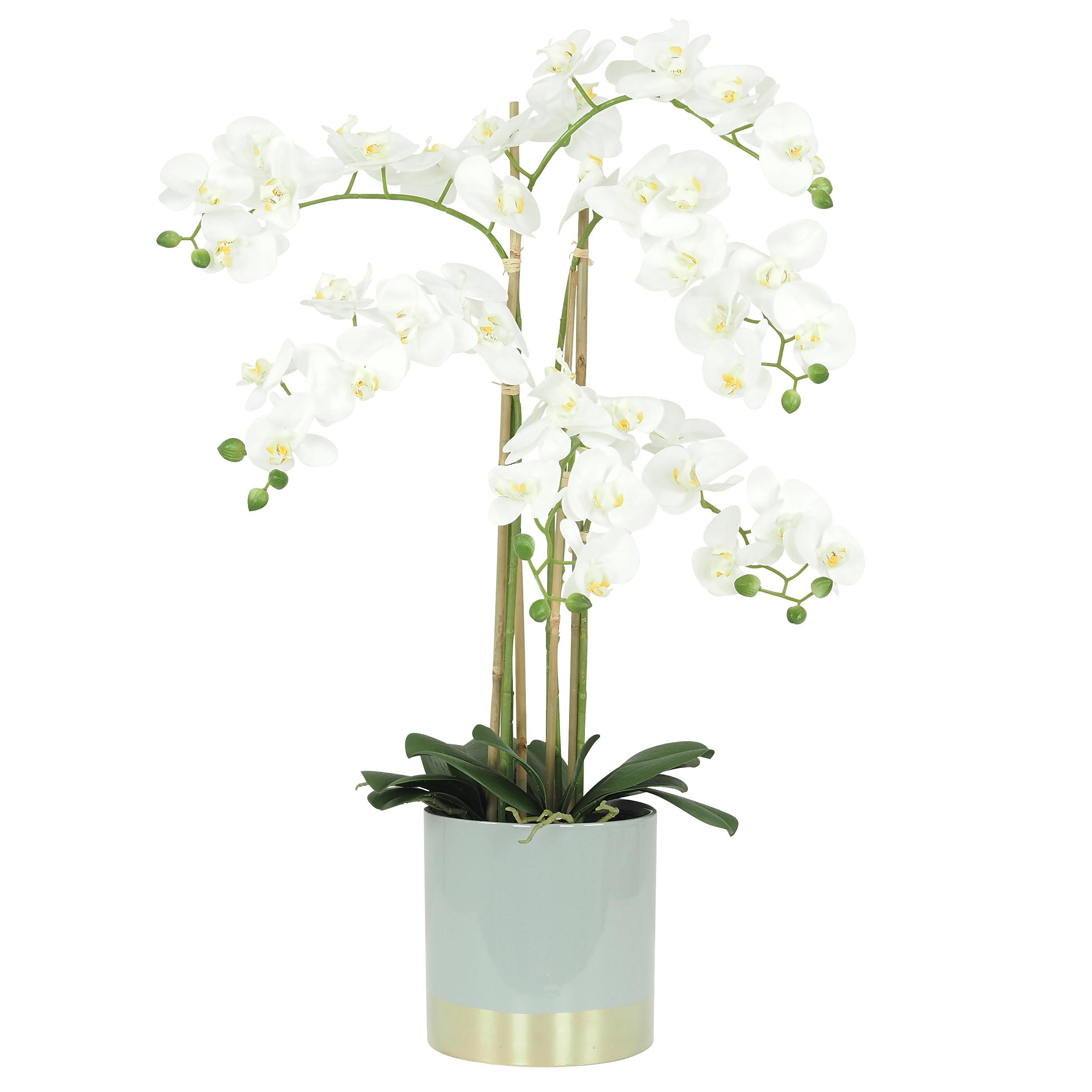 ORCHIDEES GEANTES TOUCHER NATUREL X6 BRANCHES GRIS OR H.80CM